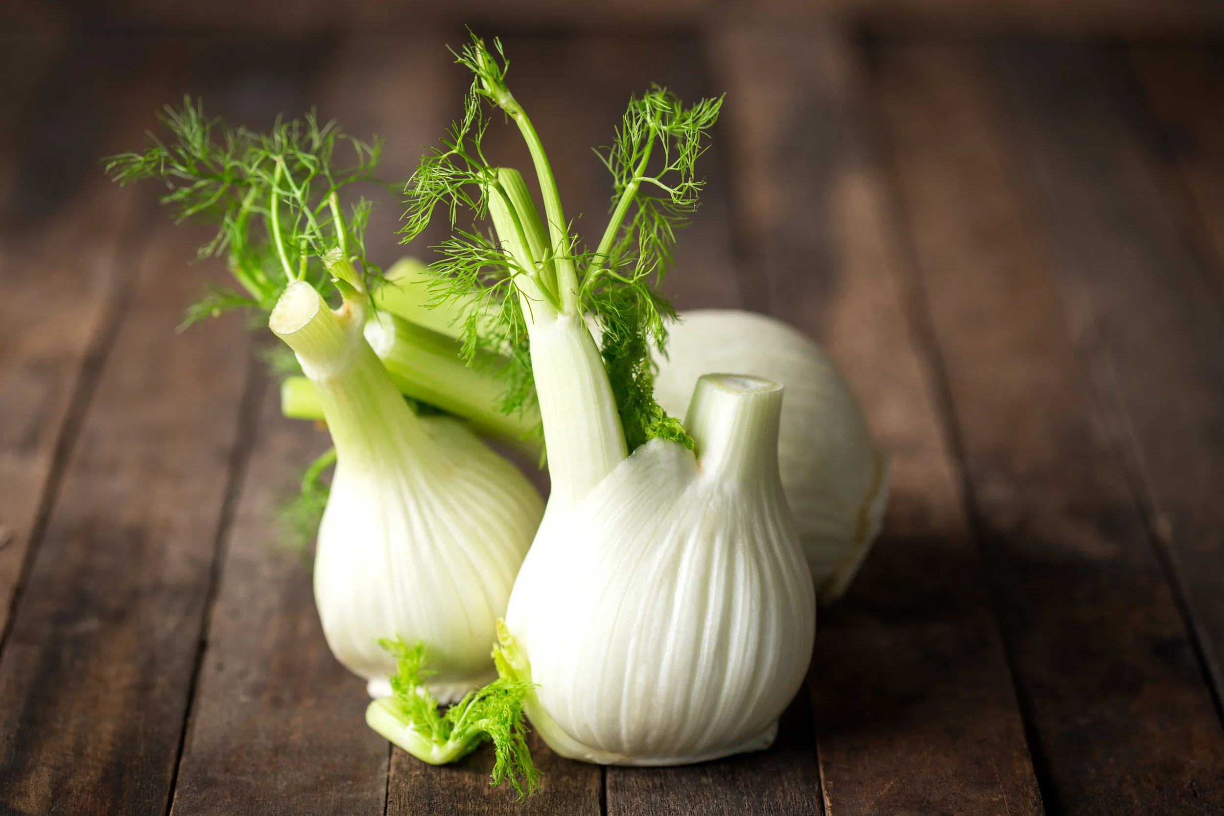 culinary applications of fennel.jpeg