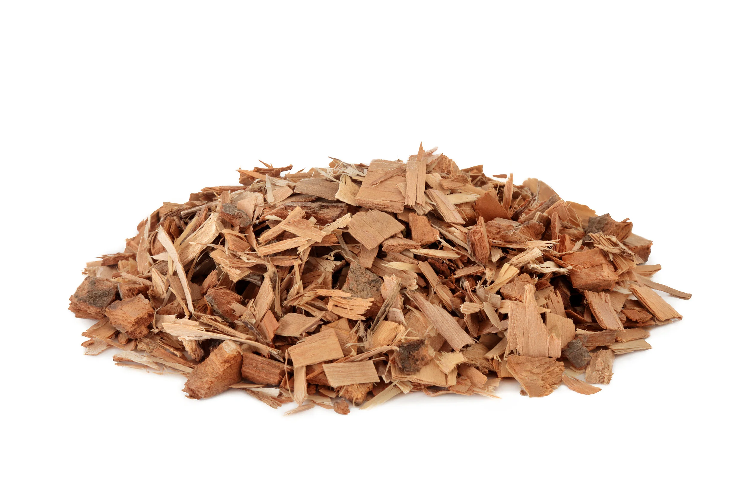 saw-palmetto-herb.jpeg