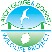 avon_gorge_and_downs_wildlife_project_logo_44203.gif