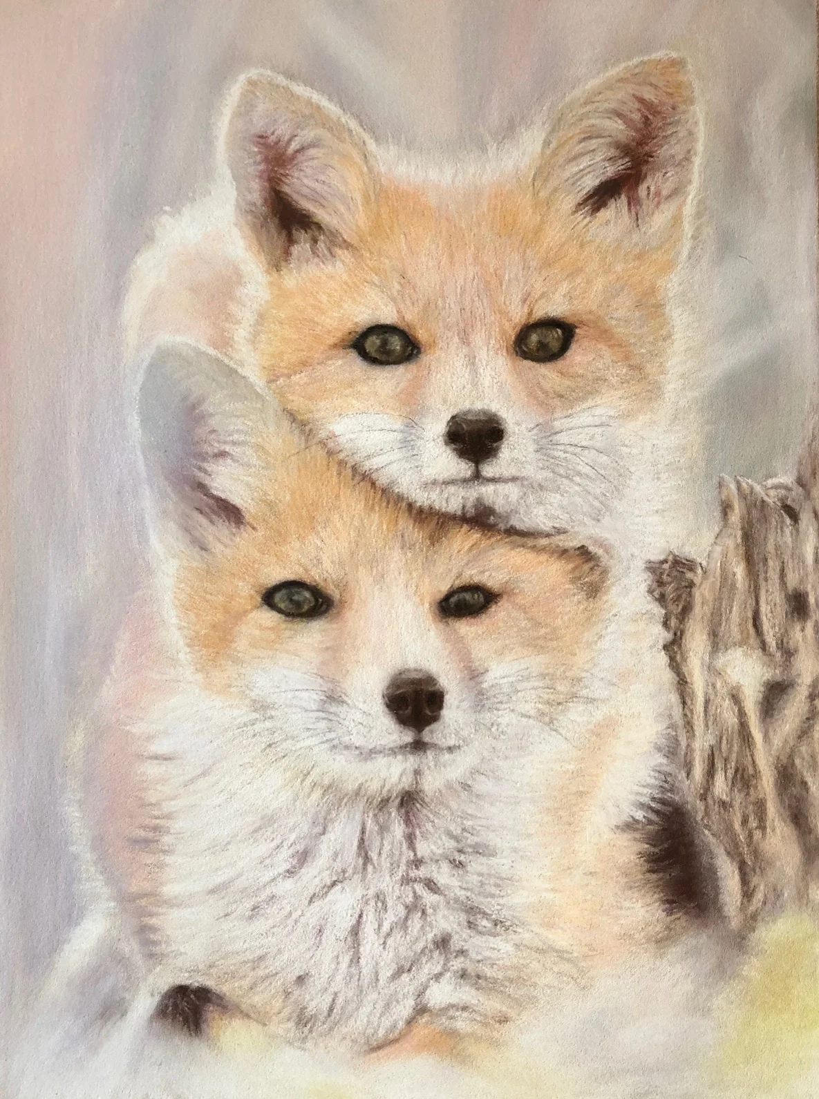 Innocence - Fox Cubs