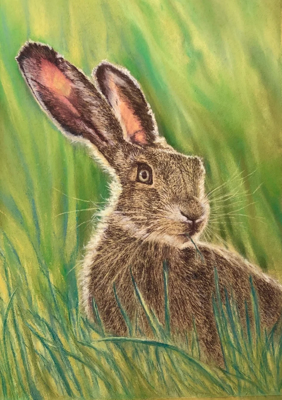 Tranquility - Gentle Hare