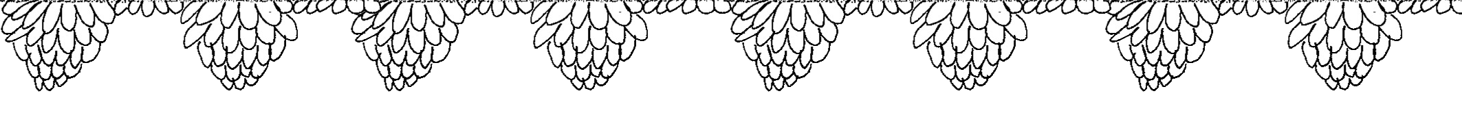 transparentborder copy.png