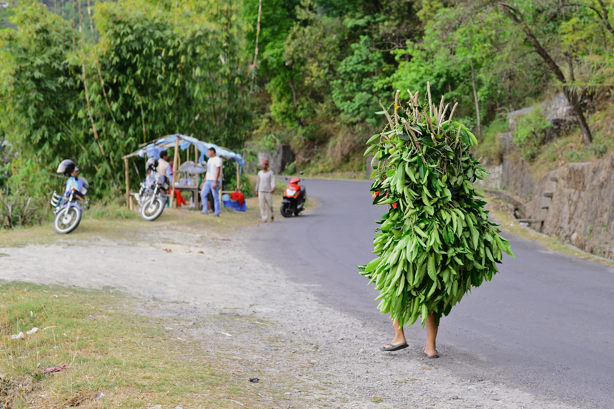 central nepal