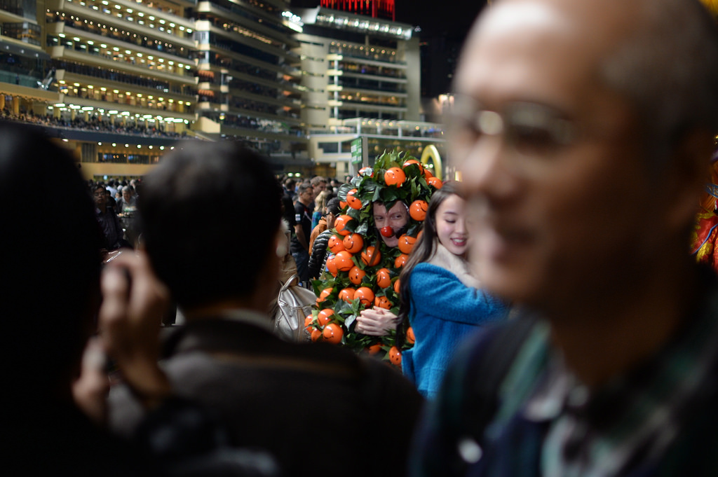 a man not really concealed in a mandarin orange tree costume not so stealthily eyes a pretty young woman at happy valley racetrack on hong kong island. the mandarin trees are a common sight during lunar new year, and are believed to bring luck. 