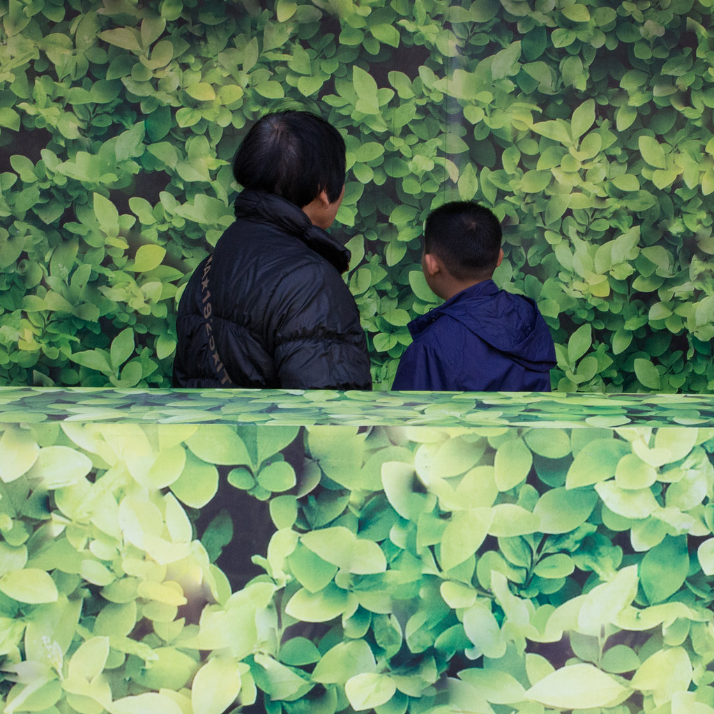 a woman and boy stop to admire the foliage plastered all over a construction site in tst, in kowloon.
