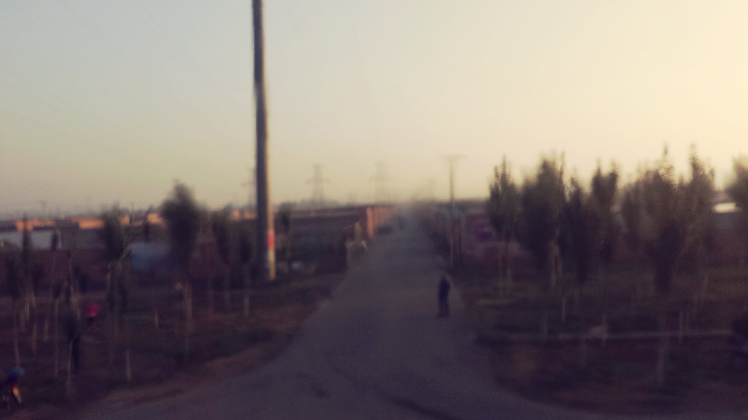 20505113868_ebfdcdcd6f_o.jpg