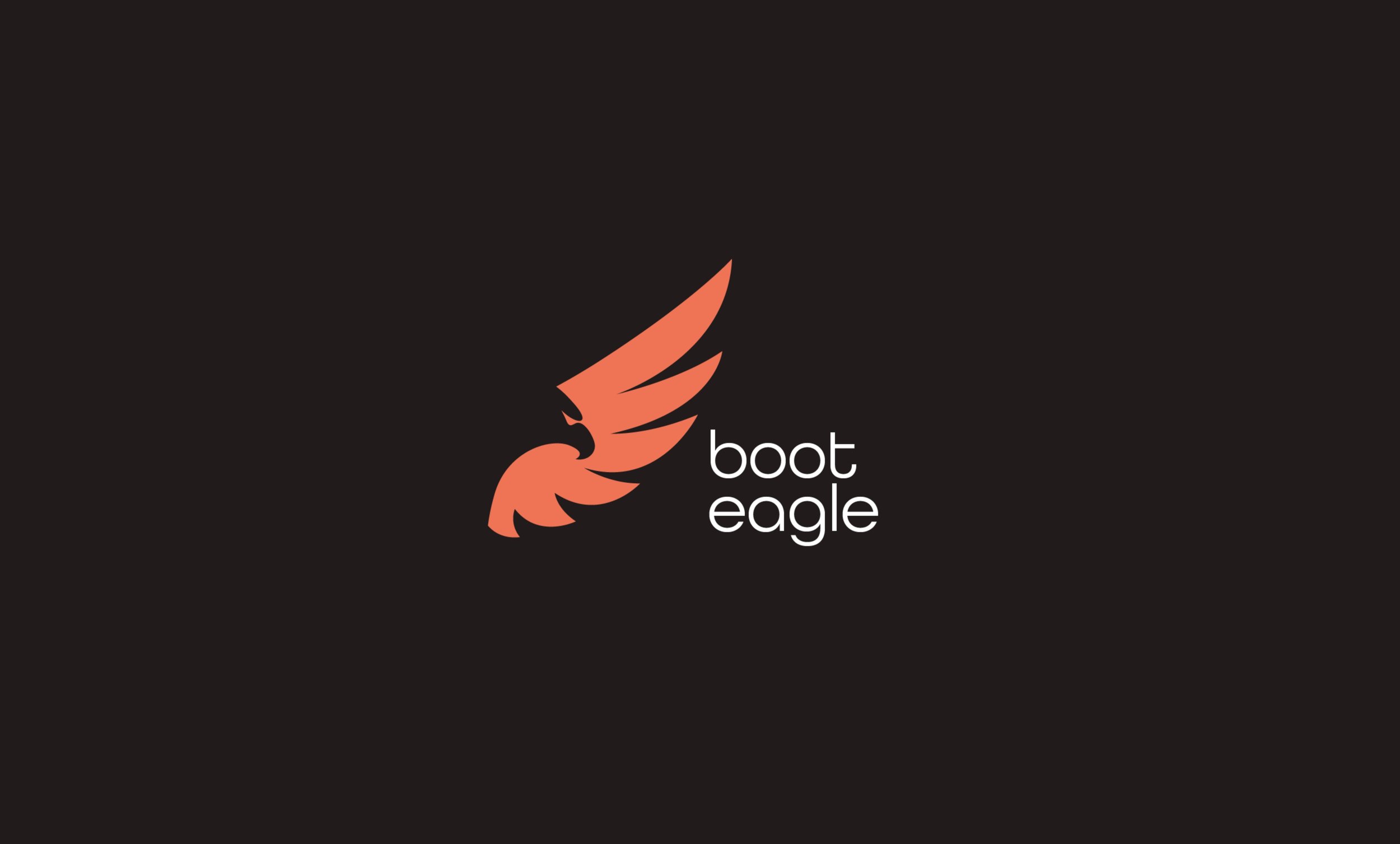 Booteagle-Logos.jpg