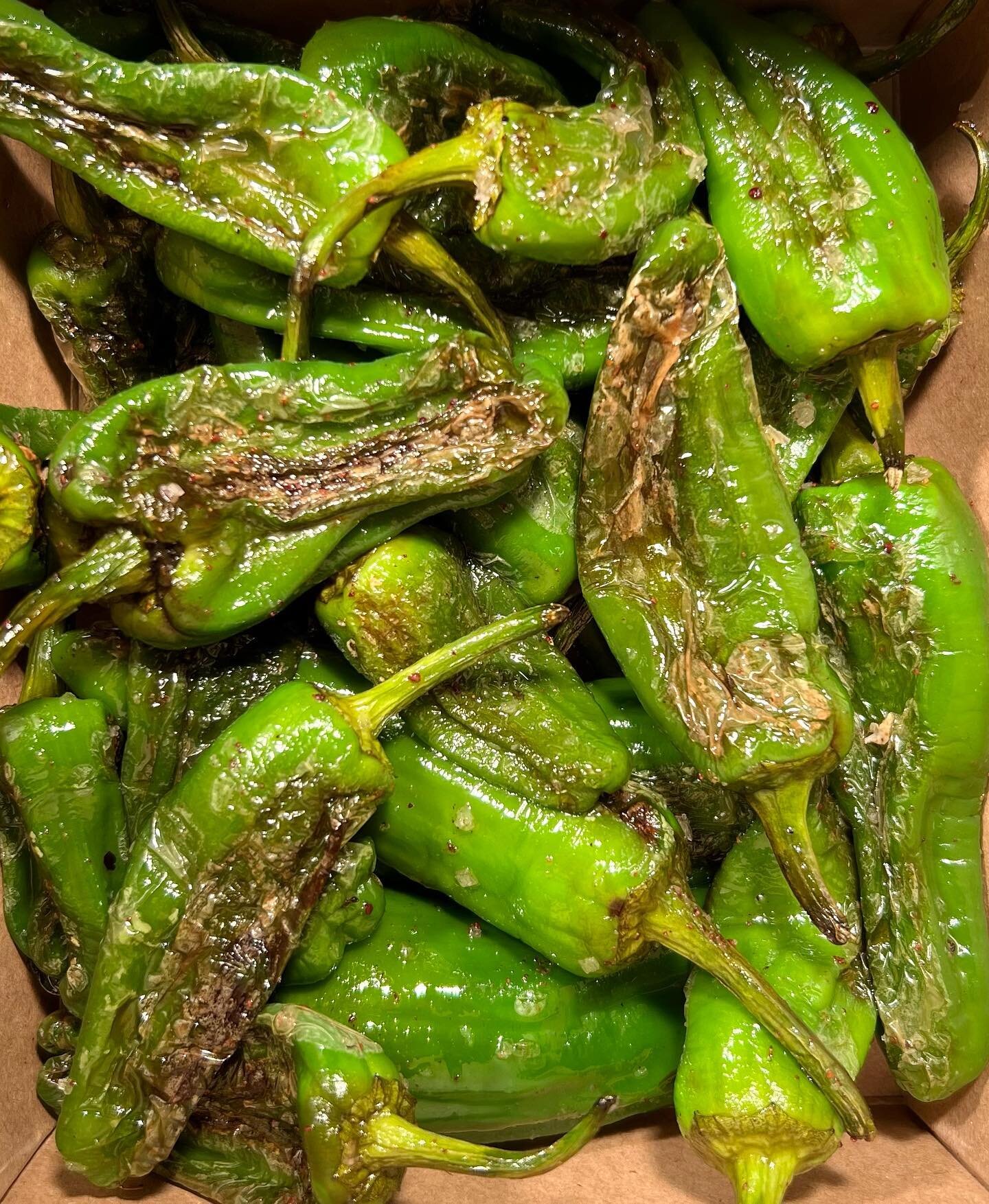 Padron Peppers with Sumac Salt

Find this on our Friday evening small plates menu