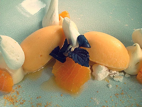 Coretta clementine dessert