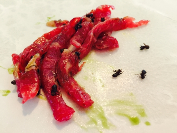 Beef tartare, celery oil and black ants