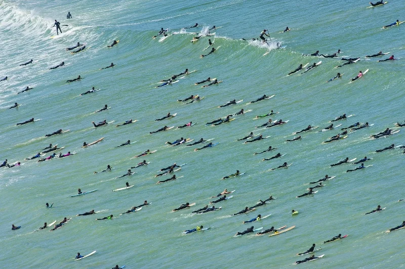 MM8156_120930_32525B-®Thomas P. Peschak.jpg