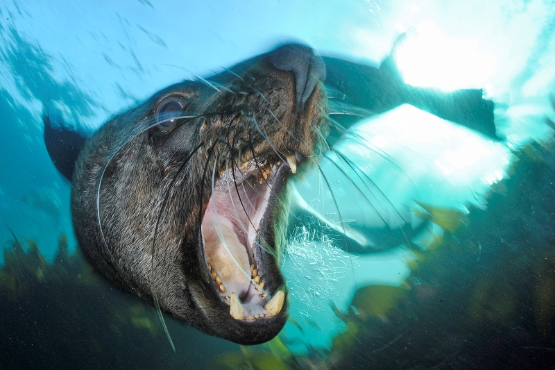 22_MM8156_121010_040517 TP.jpg