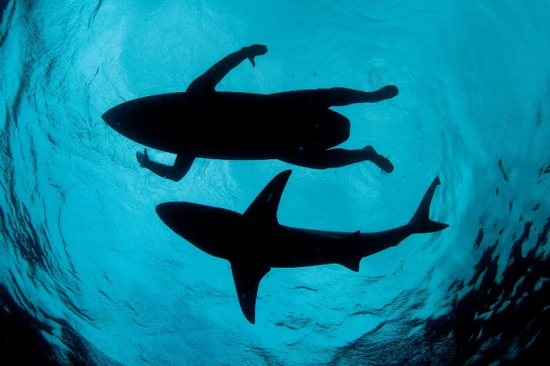 015SA MPA NatGeo-®Thomas P. Peschak.jpg