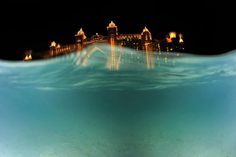 _DSC2426-®Thomas P. Peschak.jpg