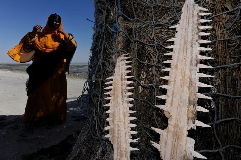 _DSC1895-®Thomas P. Peschak.jpg