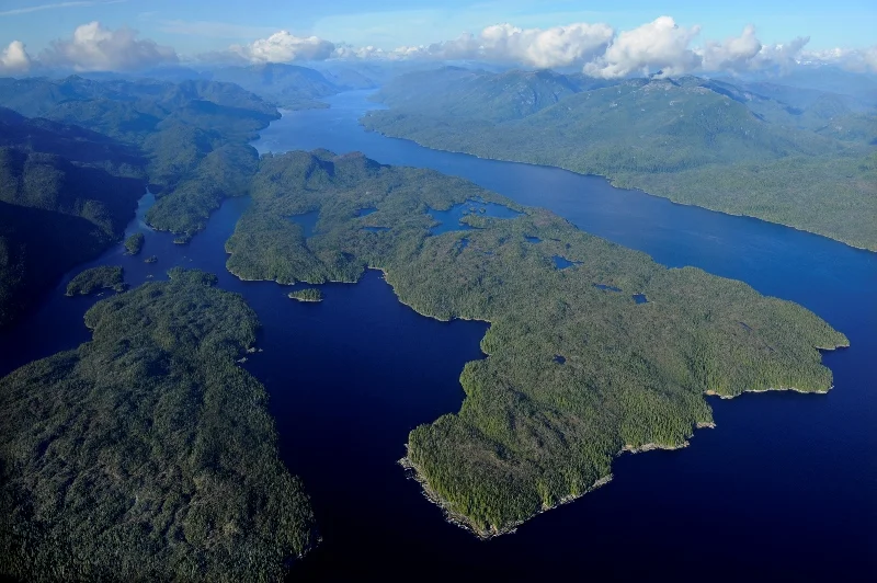 _3S14260a-®Thomas P. Peschak..jpg