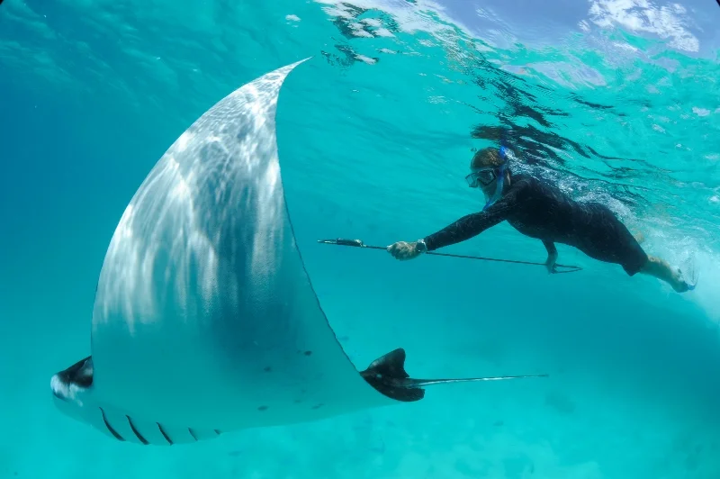 _DSC6101-®Thomas P. Peschak.jpg