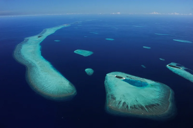 _DSC9016@Thomas P. Peschak.jpg