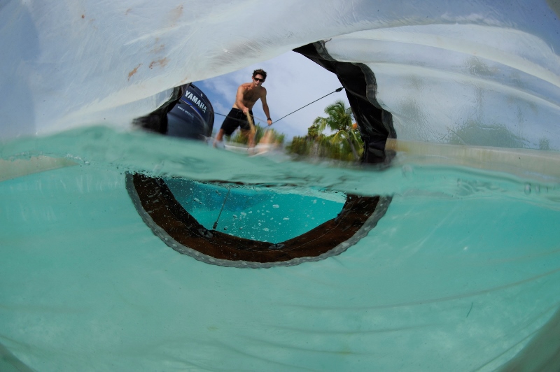 _DSC8492S-®Thomas P. Peschak.jpg