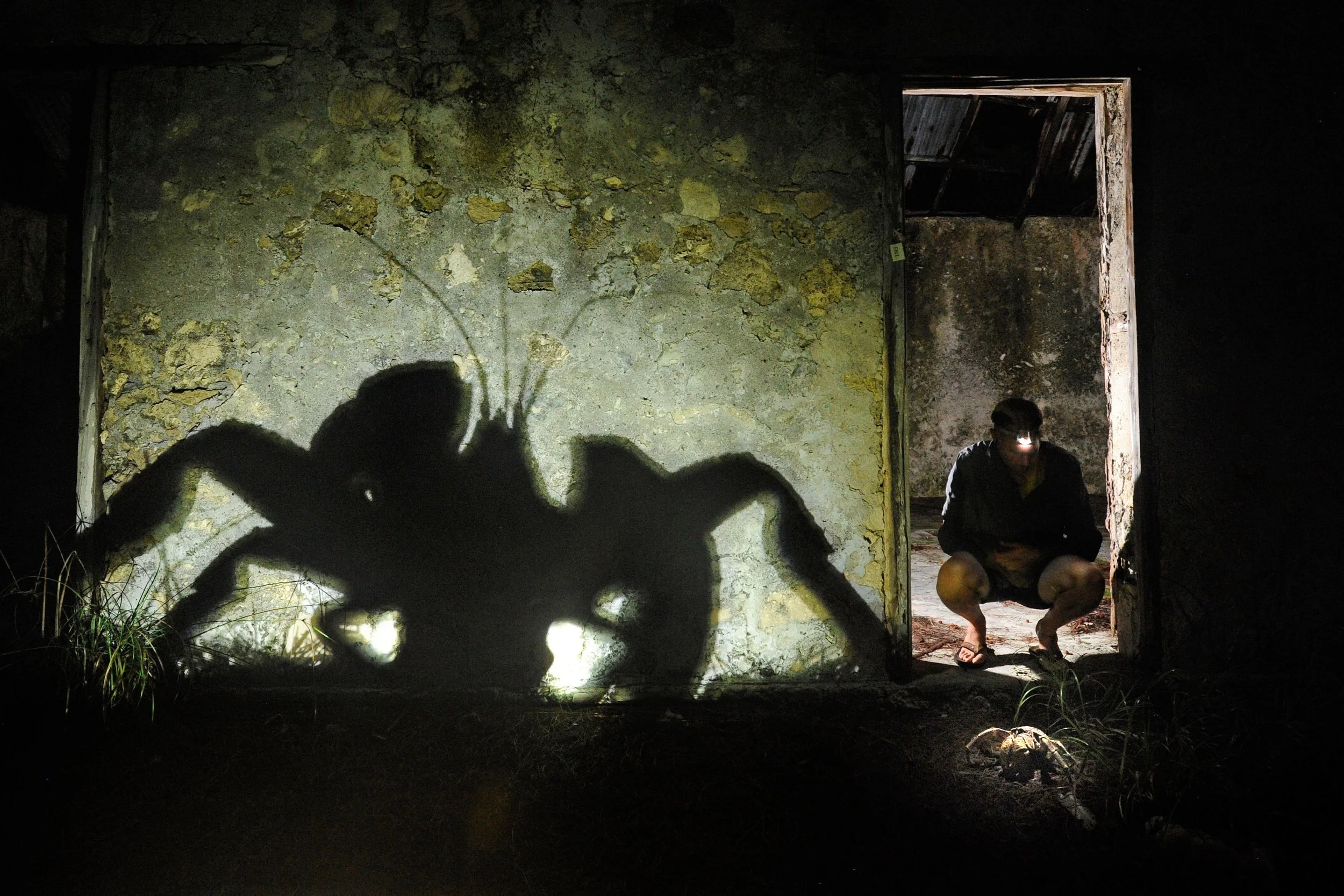 Project_20140327_0019©Thomas Peschak.jpeg