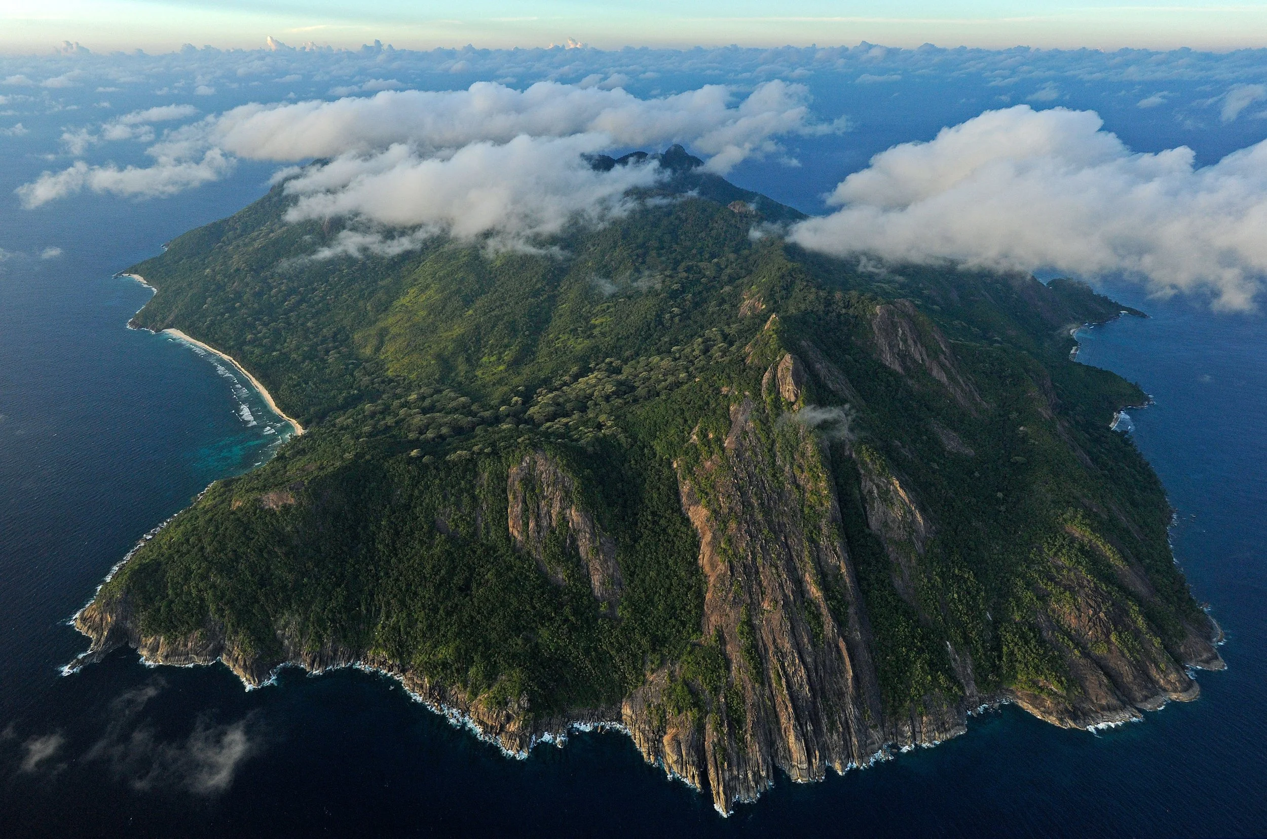 Project_20141126_0003©Thomas Peschak.jpeg