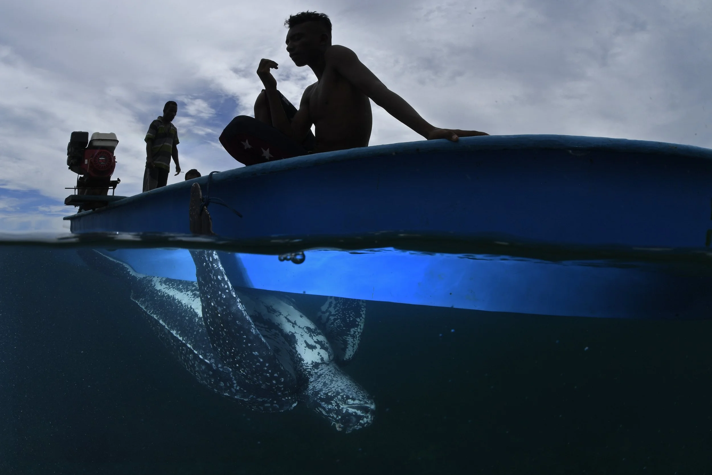 22_DSC7747a©Thomas P. Peschak.jpg