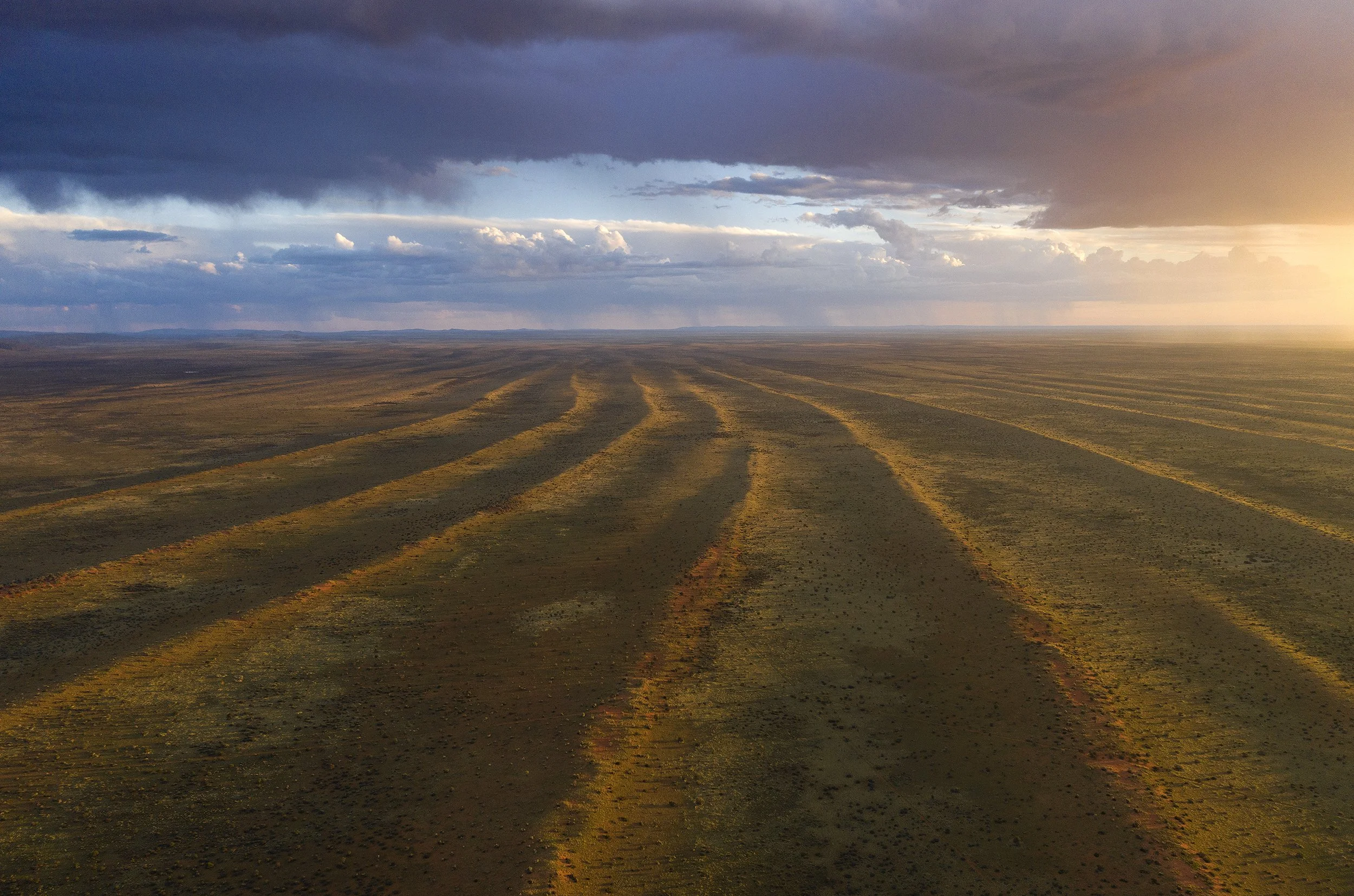 009_DJI_0532@Thomas Peschak.jpg