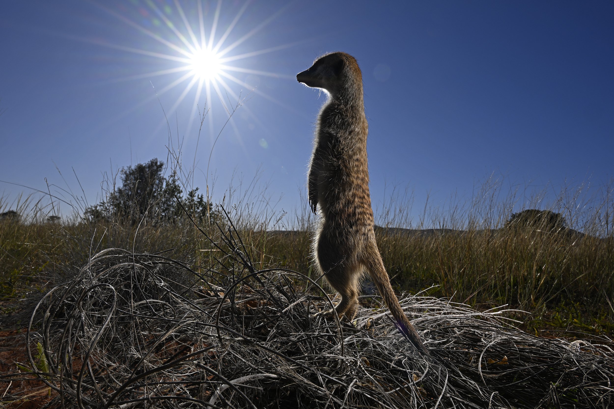 049__DSC3507©Thomas Peschak.jpg