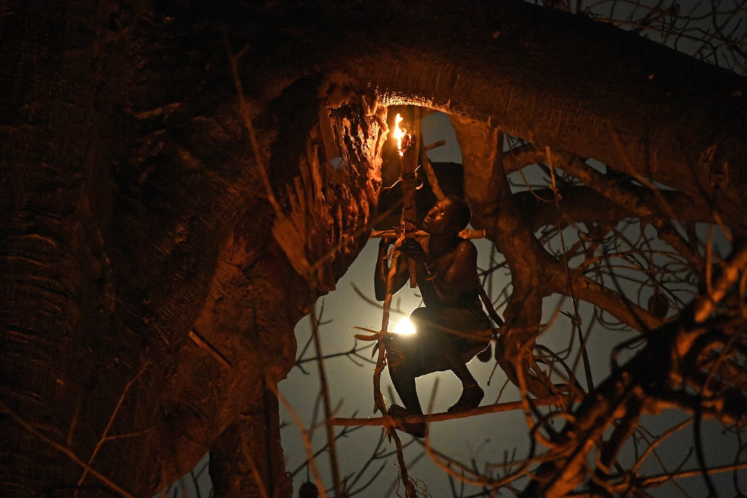 06__DSC8500©Thomas P. PESCHAK.jpg