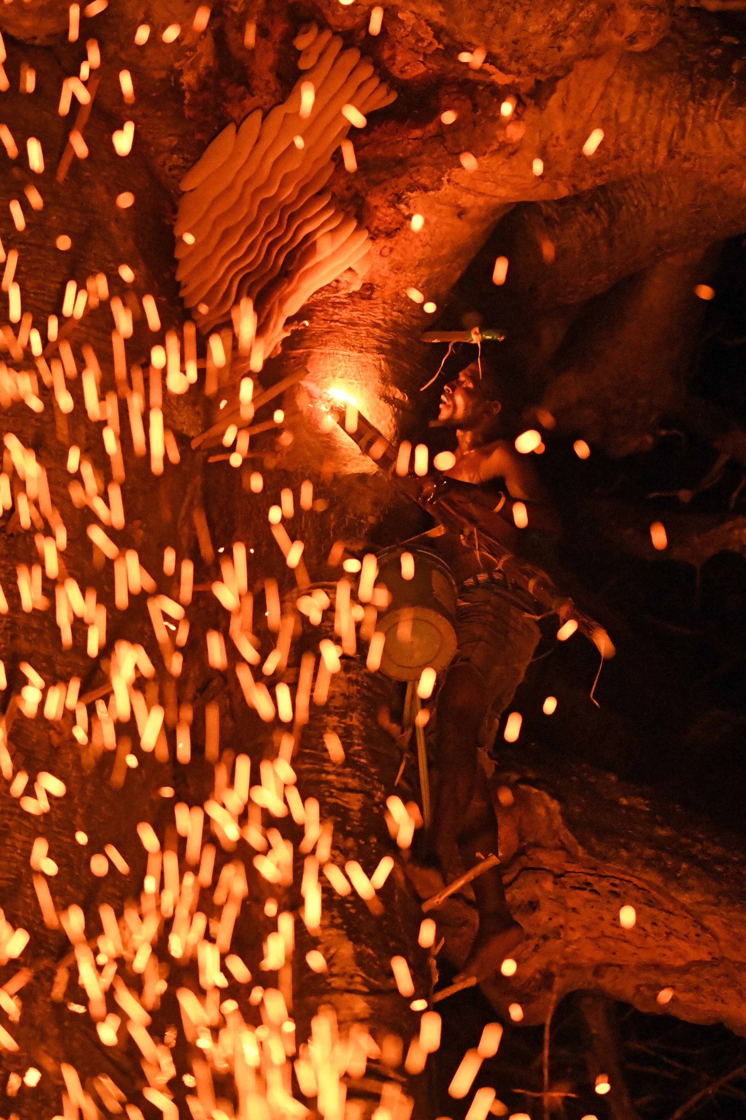 08_DSC_4039a©Thomas P. PESCHAK.jpg