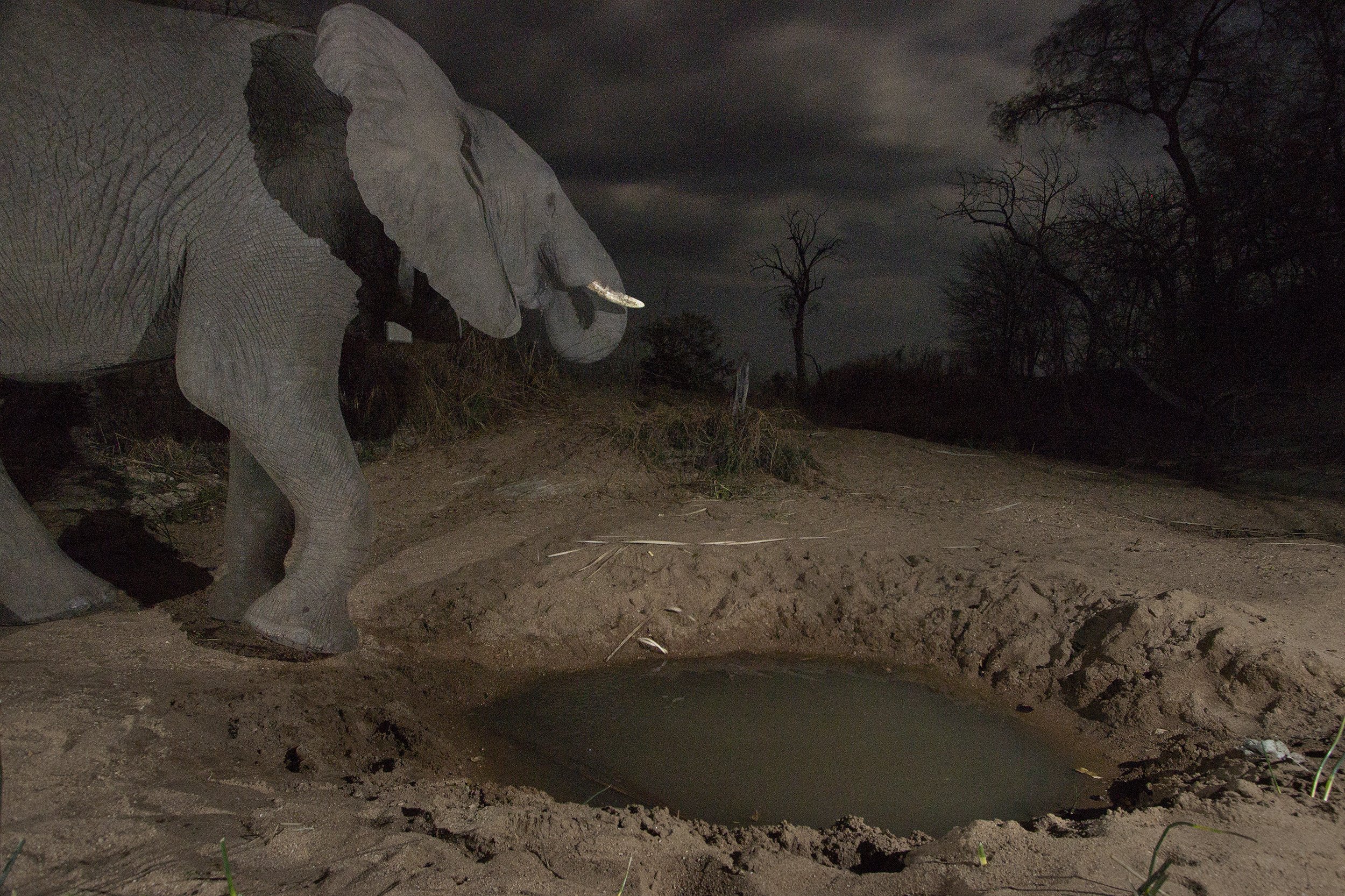 17__MG_9018©Thomas P. PESCHAK.jpg