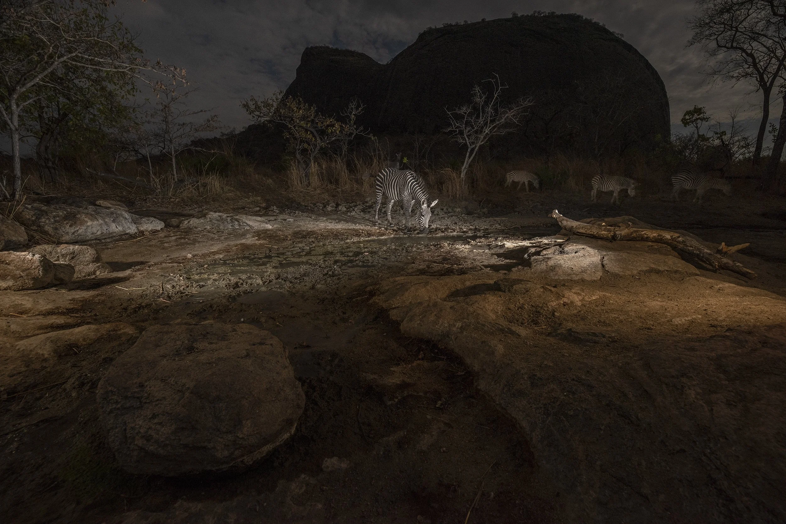 35__8102310a©Thomas P. PESCHAK.jpg