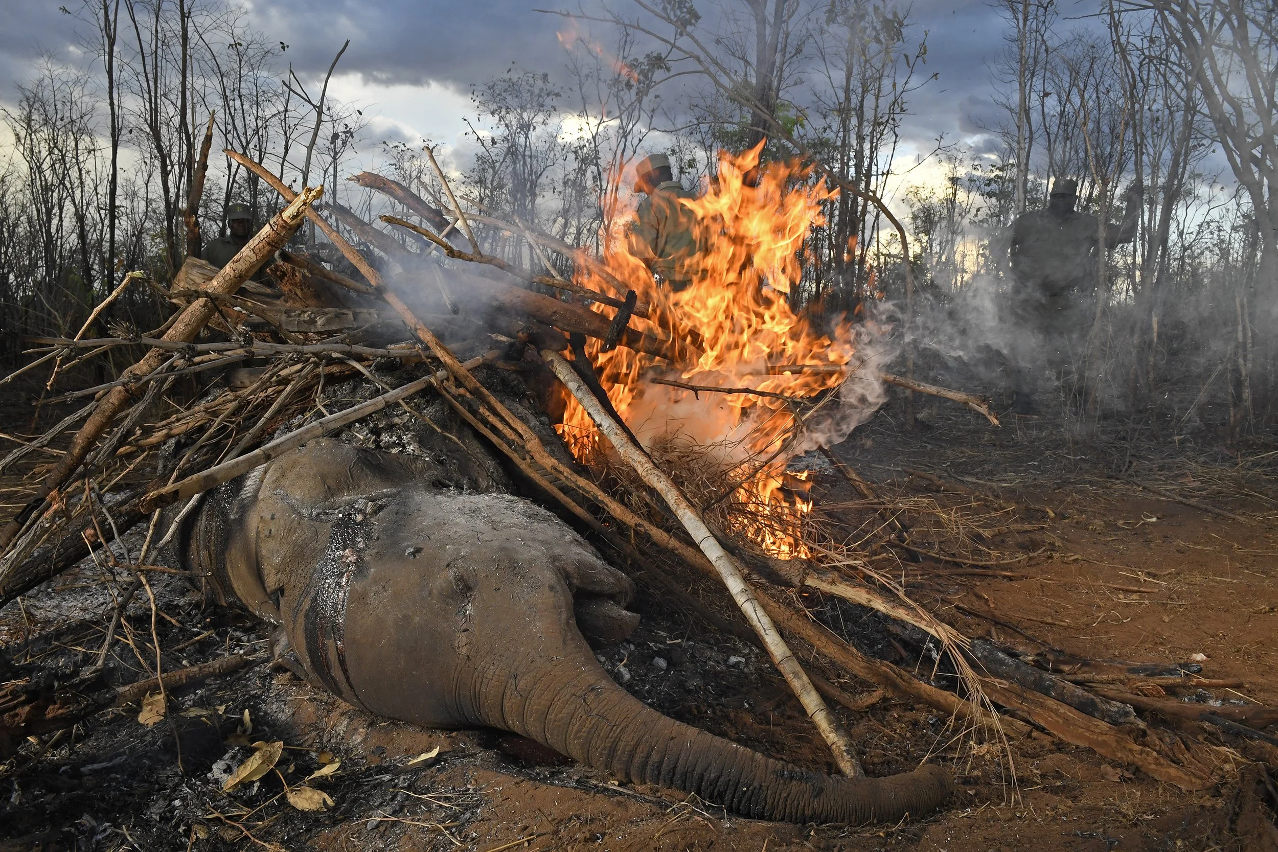 49__DSC5244a©Thomas P. PESCHAK.jpg