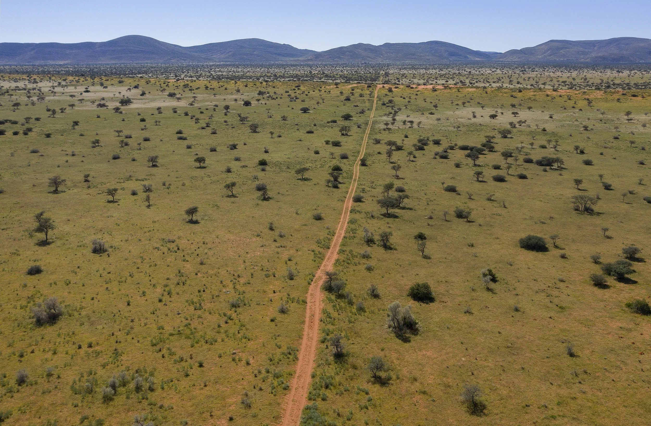 DJI_0091b@Thomas Peschak.jpg