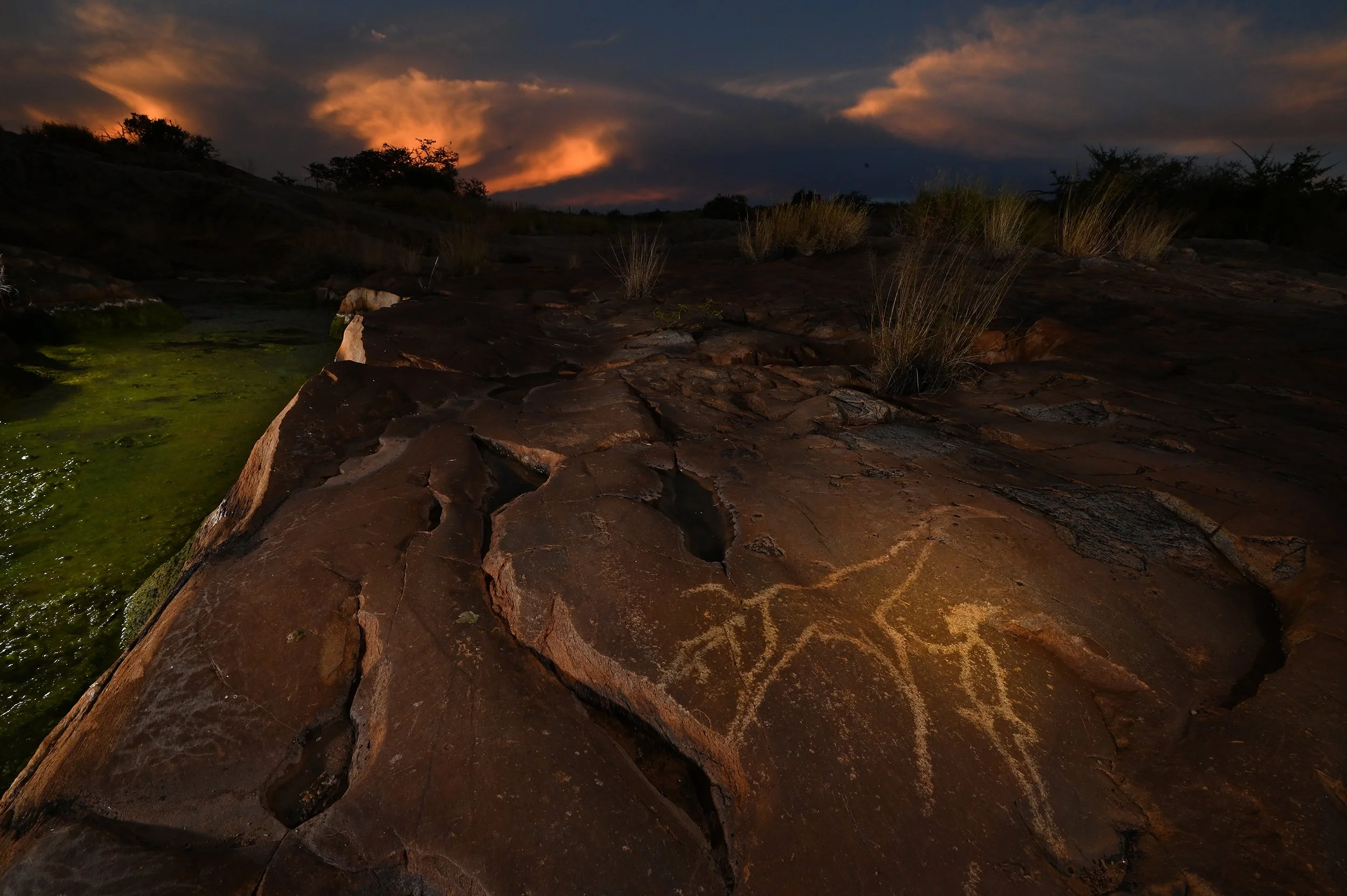 DSC_5759b@Thomas Peschak.jpg