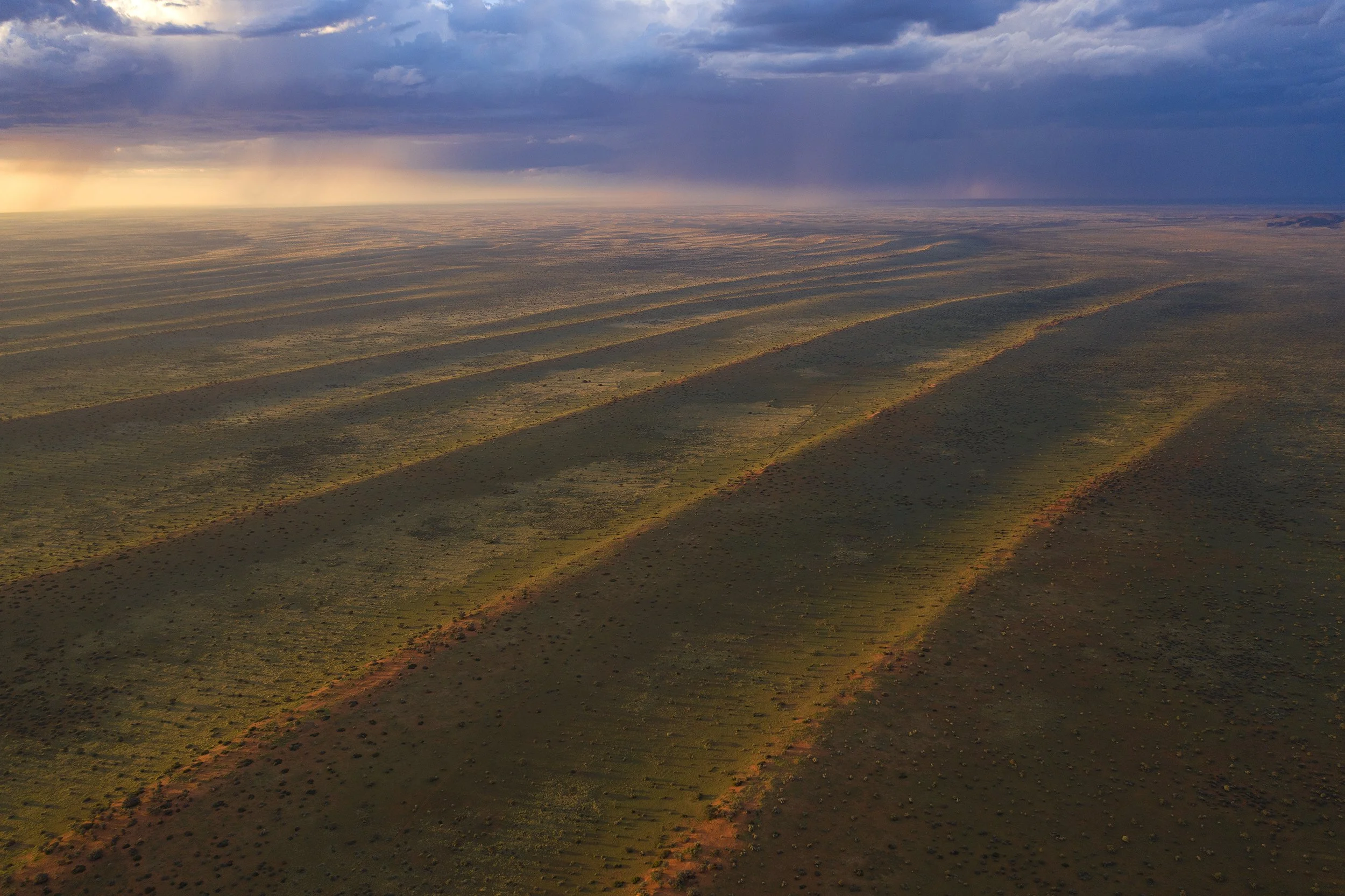 DJI_0516@Thomas Peschak.jpg