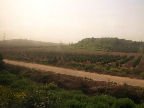 South West Timnam today