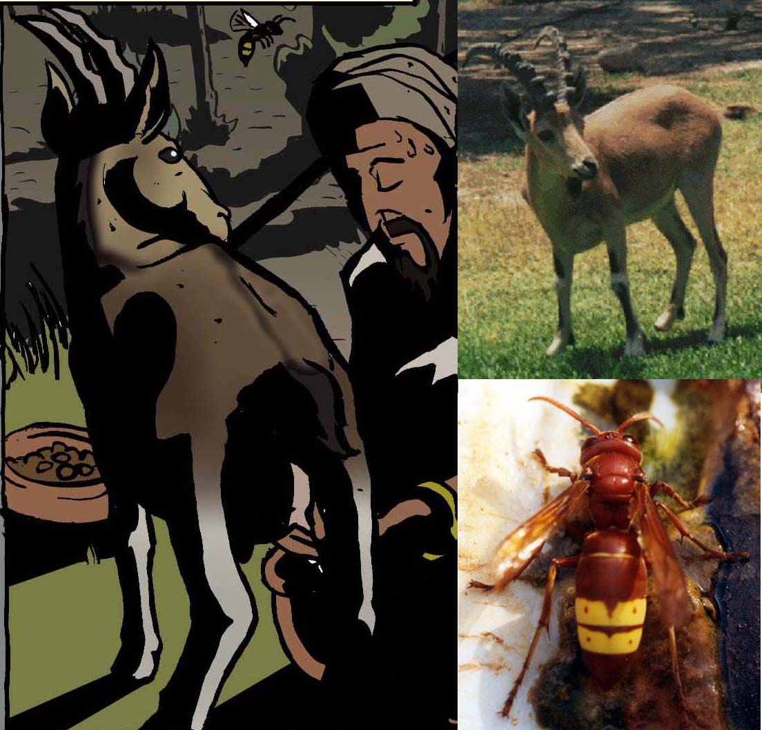 Animals specific to the region and historic context