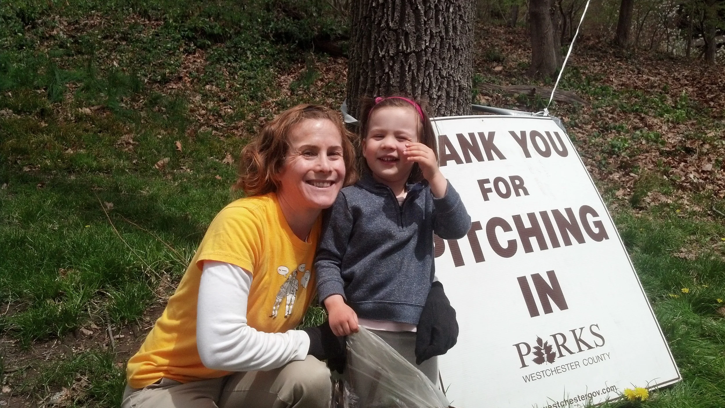 Pitch in for parks 2014.jpg