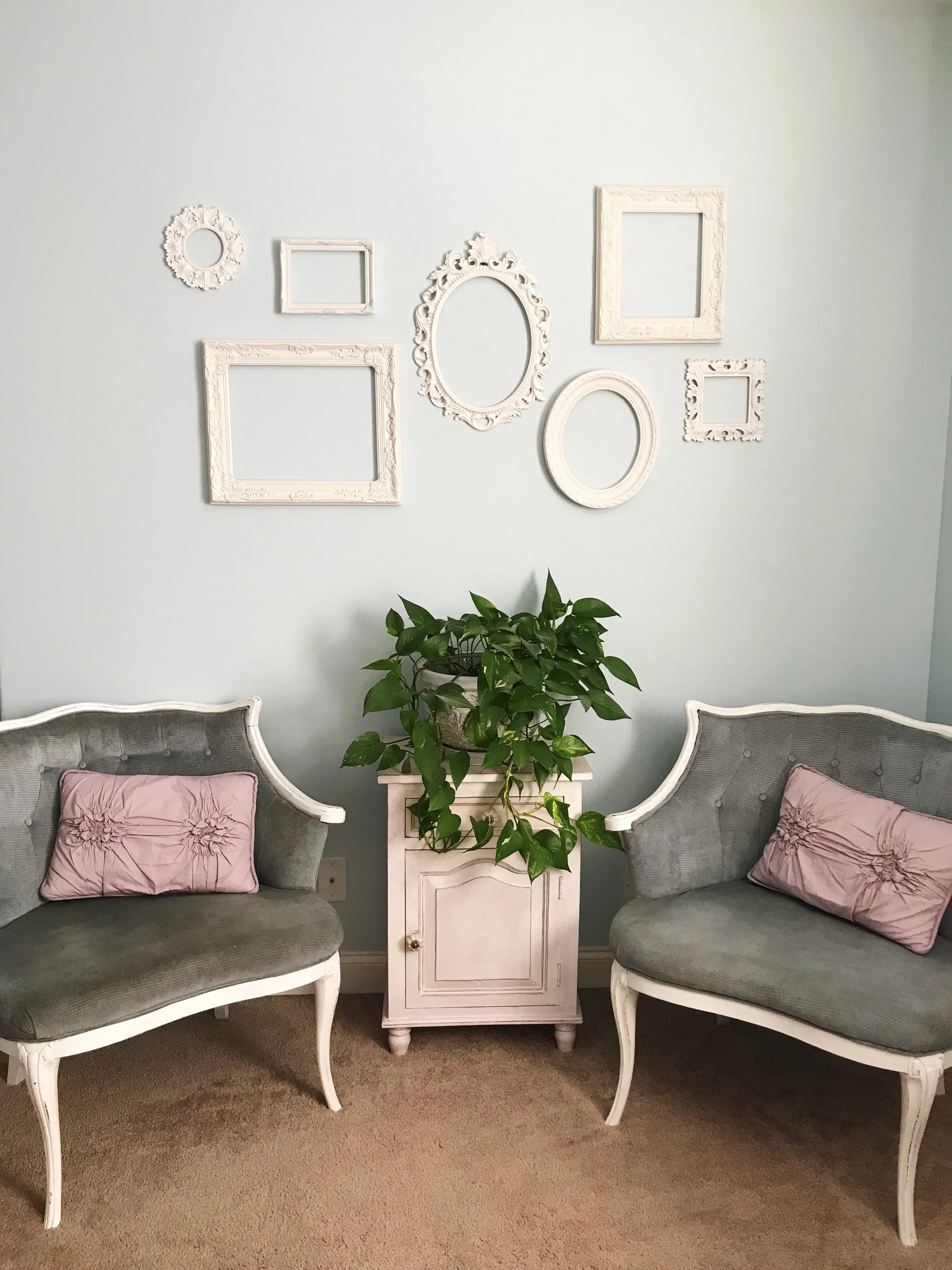 5 Air Purifying Houseplants That You CAN'T Kill