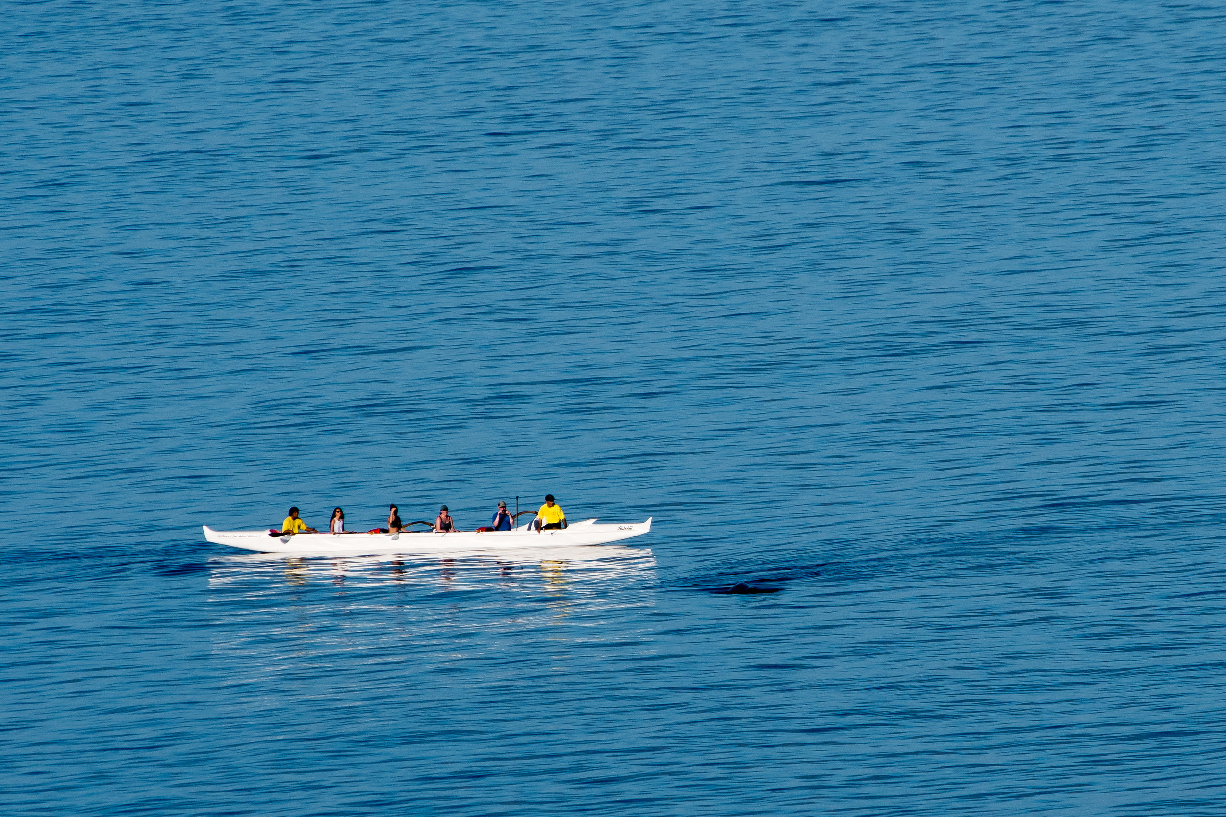 Outrigger canoe whale watch-Yes that dark area right in front of the boat is a whale that had breeched a few moments earlier.