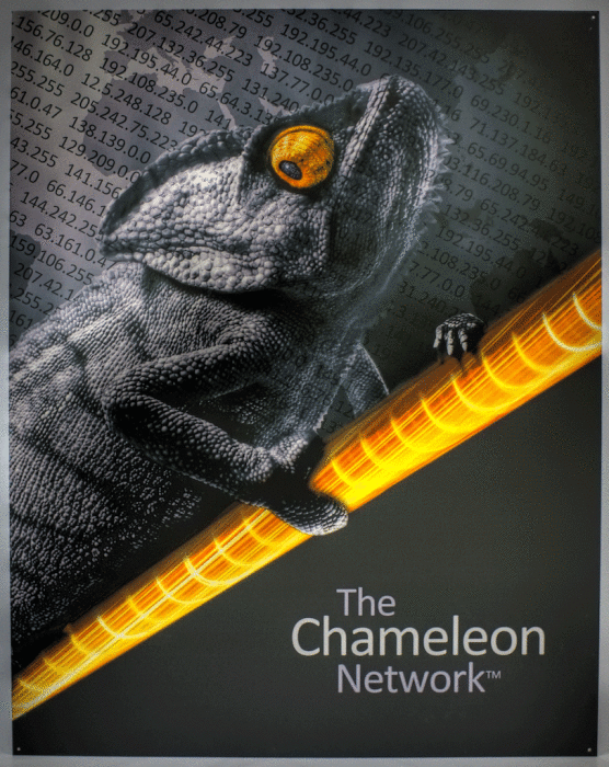 chameleonnetworksignptmx.gif