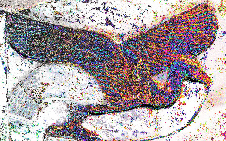 Winged Spirit