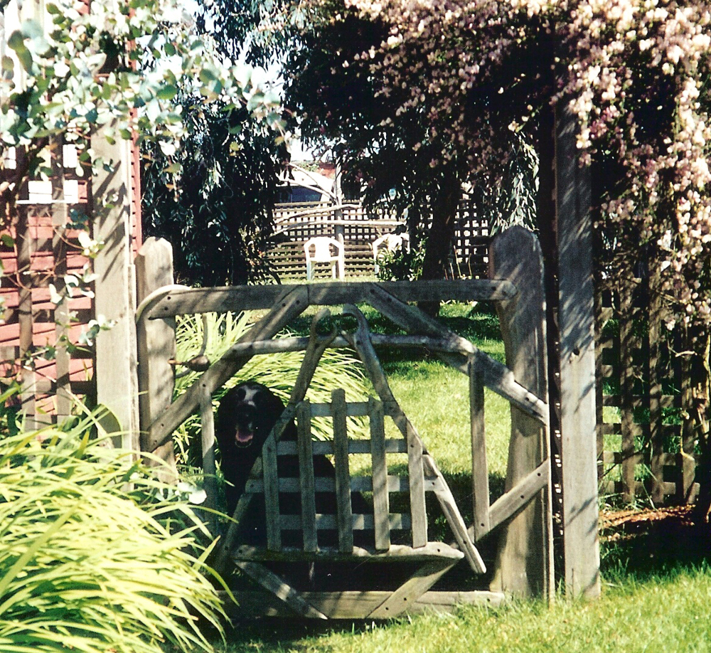 Driftwood constructions, side gate, summer