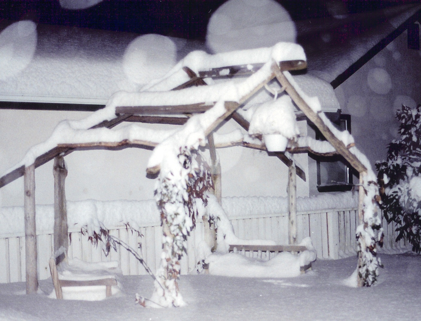 Driftwood constructions, sukkah in winter