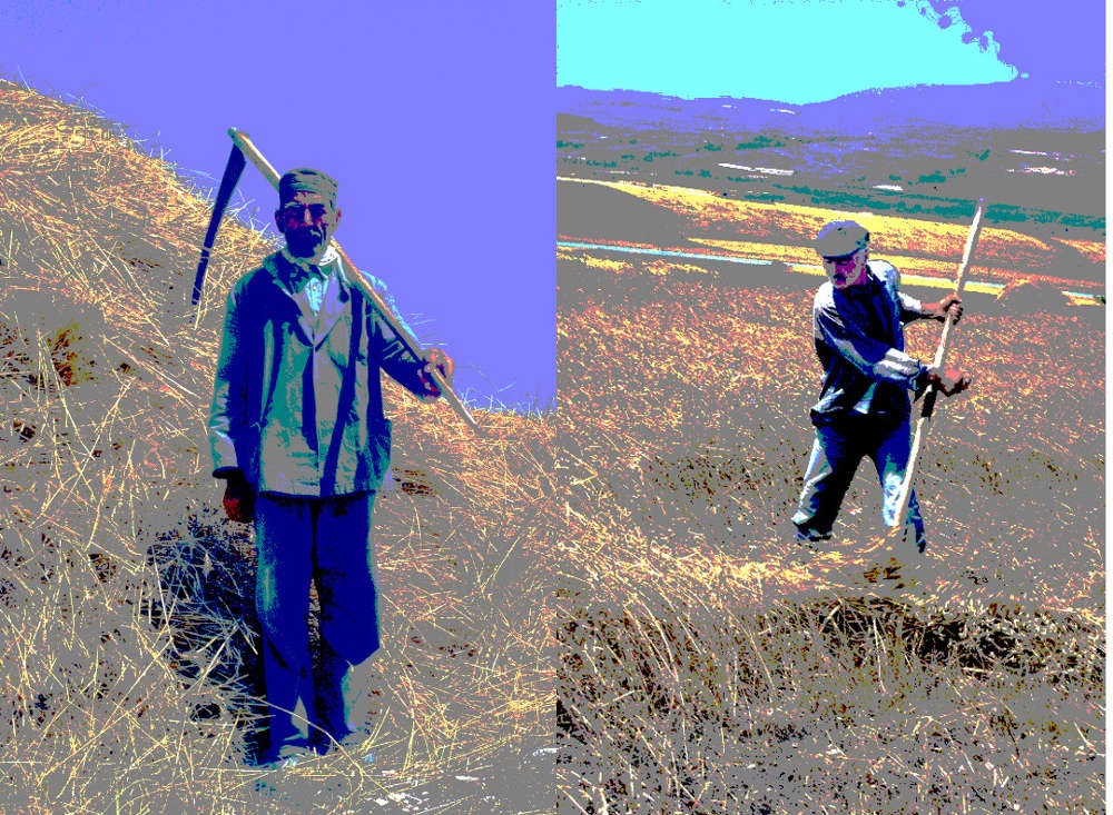 Reapers, Tokat, Turkey, 1983