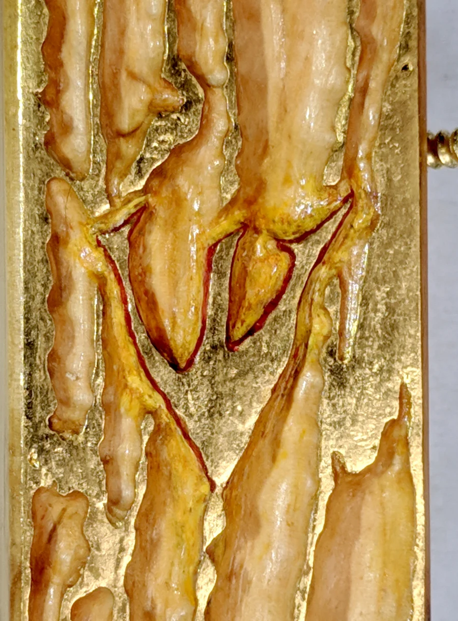 Closeup of Shin