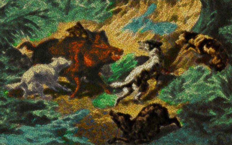 Dogs attacking a wild boar 3