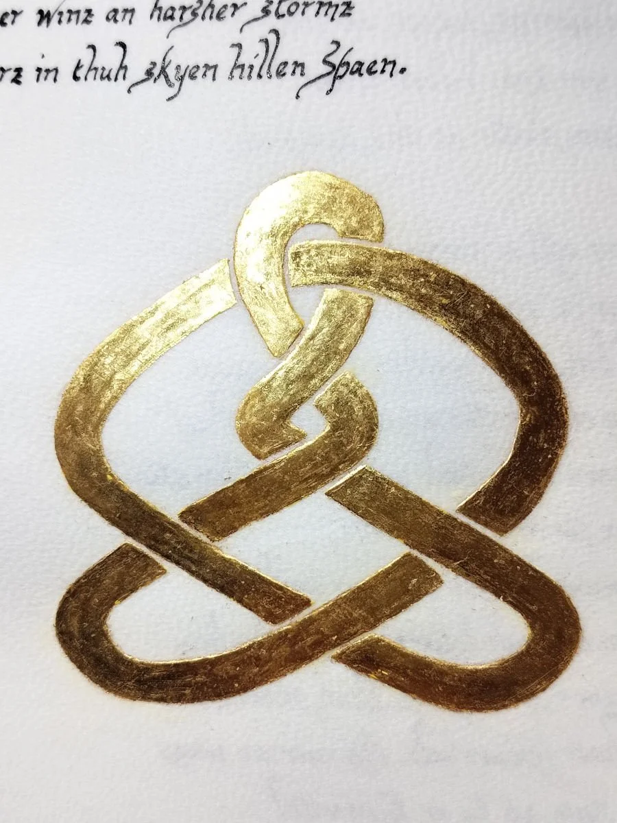 Torus illumination, p. 40, close-up