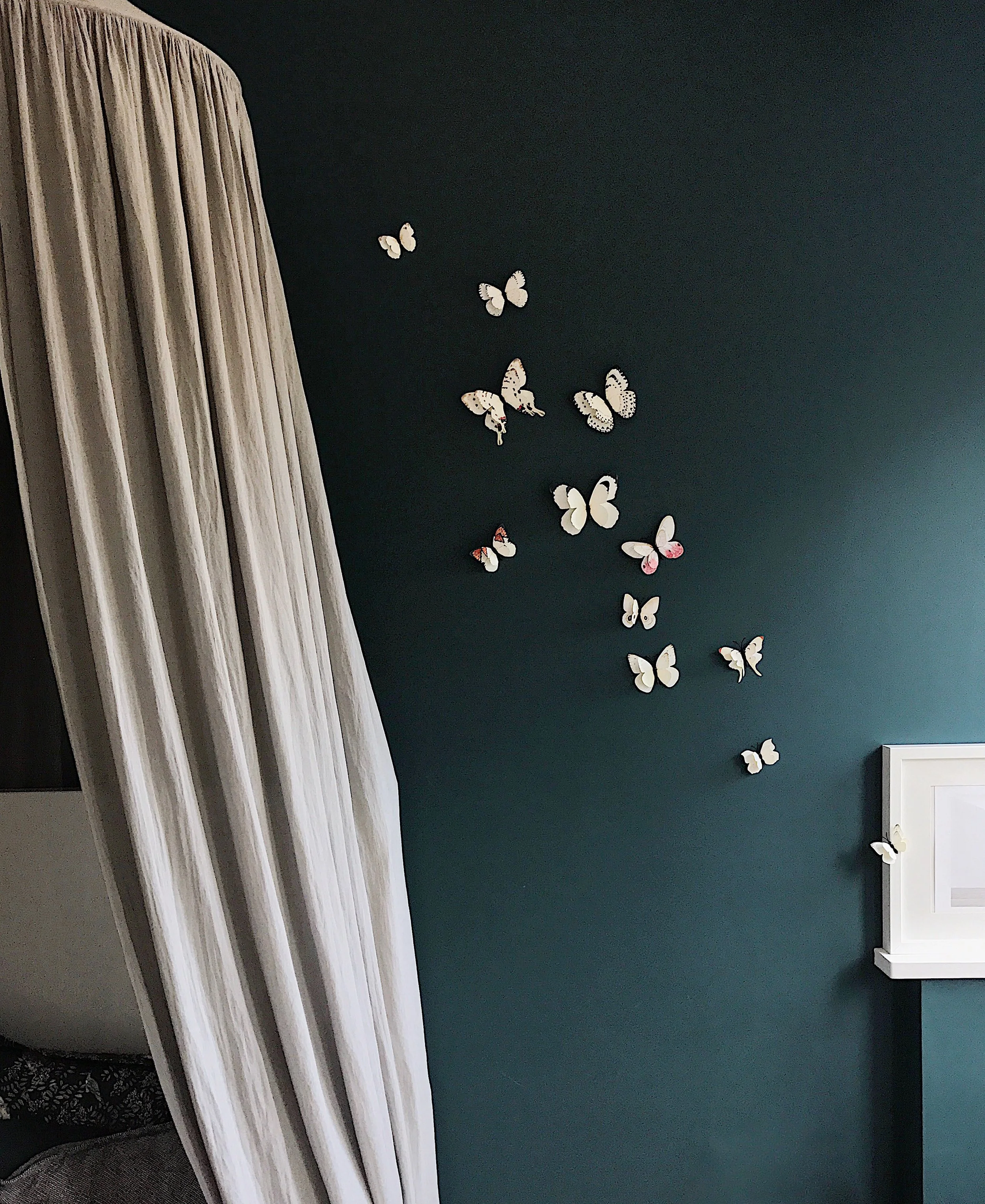 butterflies.jpg